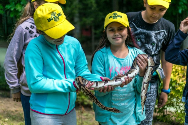Hamarosan indul a ZOOSULI cikk kiemelő képe