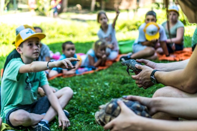 Idén is lesz Zoosuli! :-) cikk kiemelő képe