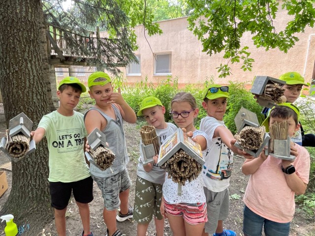 Teknőspárbaj hazai vizeinkben – avagy a biodiverzitásról gyerekeknek cikk kiemelő képe