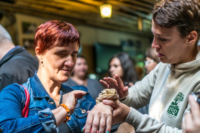 TapogatóZoo az Állatparkban cikk kiemelő képe