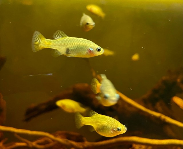 Mert a kicsikre is figyelni kell! cikk kiemelő képe