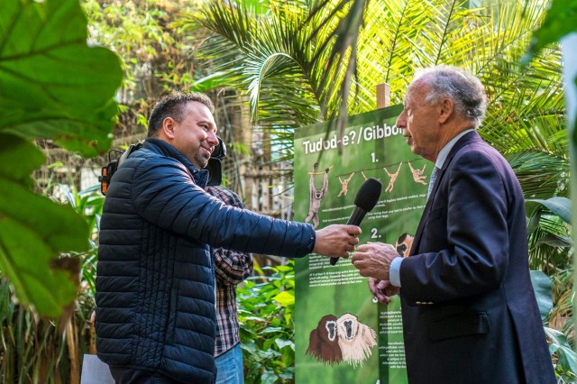 Nemzetközi fajmegmentő akcióba kapcsolódott be a Nyíregyházi Állatpark!  cikk kiemelő képe