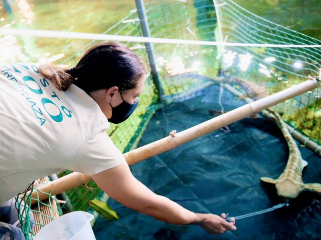 Megérkezett a 2022-es esztendő első látványossága cikk kiemelő képe