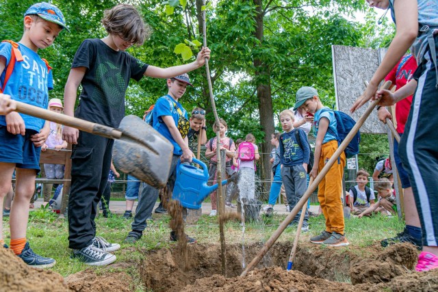 Idén is elültettük az év fáját a Nyírerdő ZRT. segítségével cikk kiemelő képe