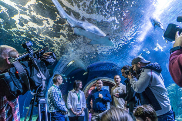 Cápa konferencia a Nyíregyházi Állatparkban cikk kiemelő képe