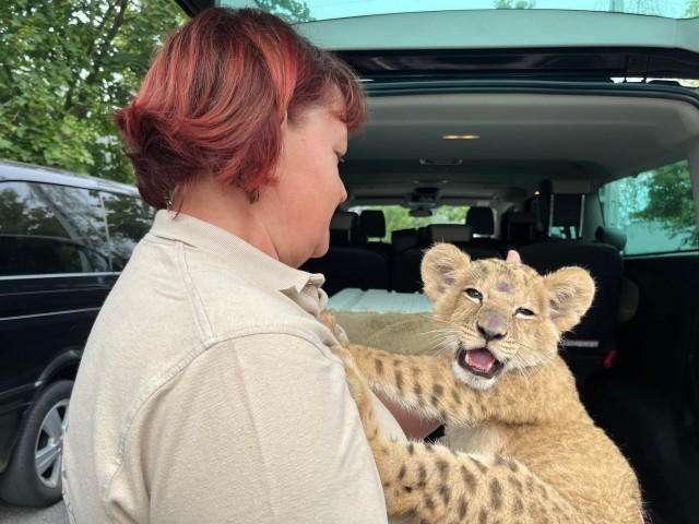 Újabb mentett állat érkezett a háború sújtotta Ukrajnából Állatparkunkba cikk kiemelő képe