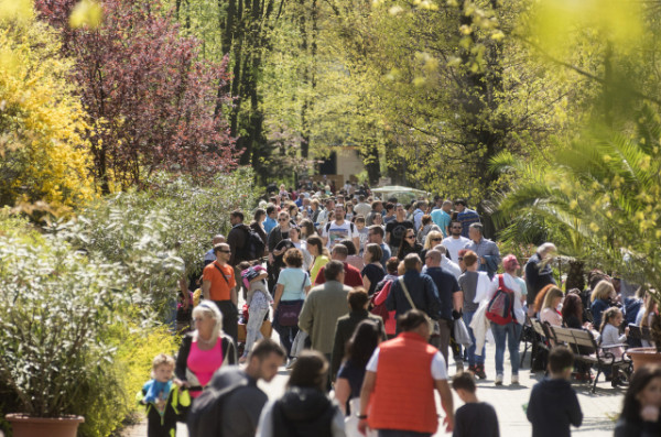 Rekordszámú érdeklődő töltötte Állatparkunkban a húsvétot cikk kiemelő képe
