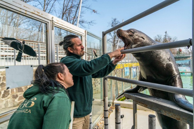 Nemzetközi oktatási tevékenység is zajlik Állatparkunkban cikk kiemelő képe