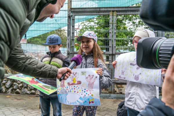 Ilyen volt a Boldog Maci Nap-az Állatparkban cikk kiemelő képe