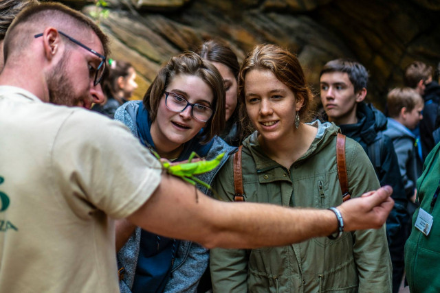 Állatok Világnapja volt a Nyíregyházi Állatparkban cikk kiemelő képe