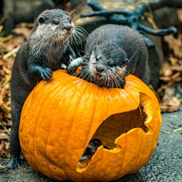 Tök jó nap volt! cikk kiemelő képe
