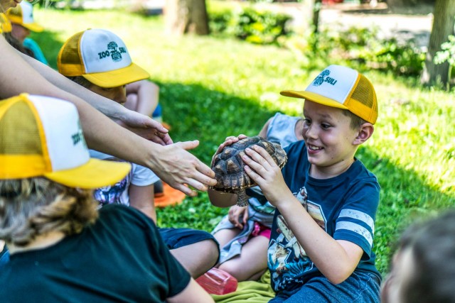 Hétfőn indul a ZooSuli cikk kiemelő képe