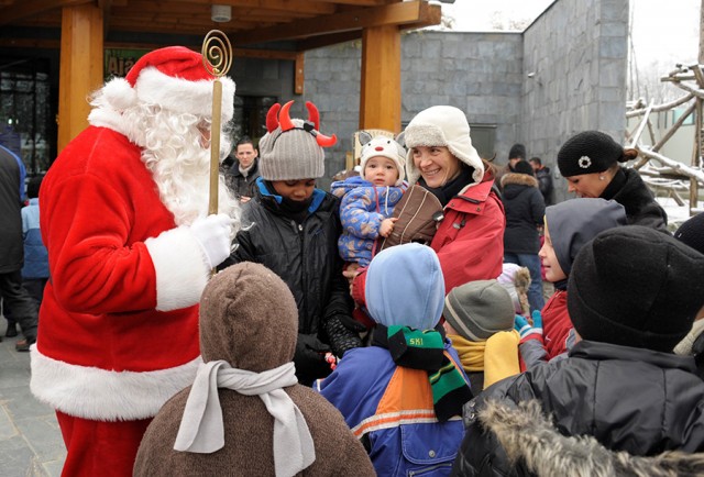 Hamarosan kezdődik a Nagy Mikulás Kaland! cikk kiemelő képe