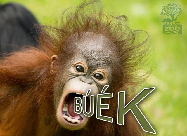 Boldog új évet kívánunk cikk kiemelő képe