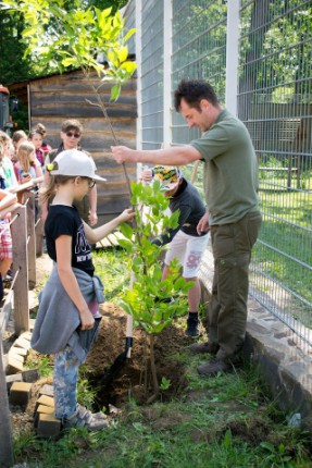 Tovább bővült az Év fája fasor Állatparkunkban cikk kiemelő képe
