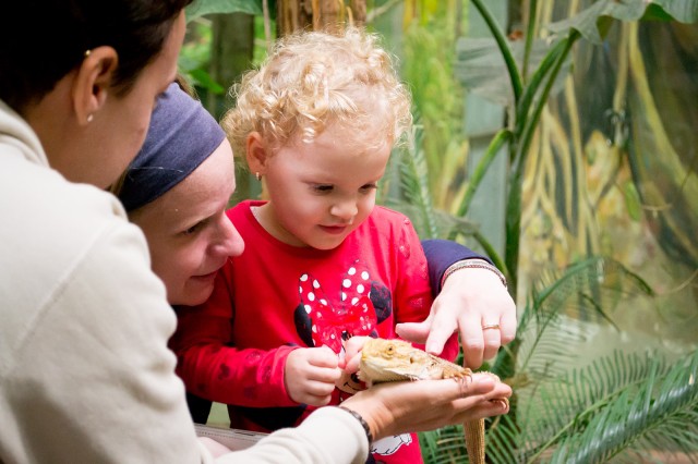 Nagy sikerrel zajlott az Állatok Világnapja! cikk kiemelő képe