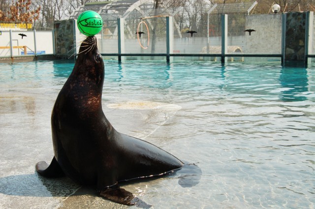 Húsvétkor is különleges élményekkel vár az Állatpark! cikk kiemelő képe