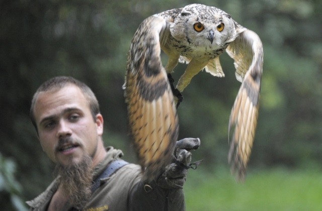 Akcióban a levegő urai!   cikk kiemelő képe