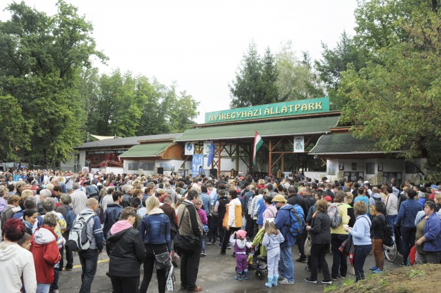 ÉFOÉSZ nap az Állatparkban -közel 3000 résztvevővel cikk kiemelő képe