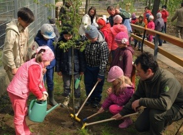 Megújult a Nyíregyházi Állatpark erdeje! cikk kiemelő képe