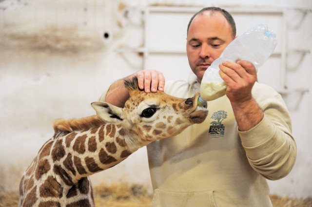 Népszámlálást tartottunk! cikk kiemelő képe