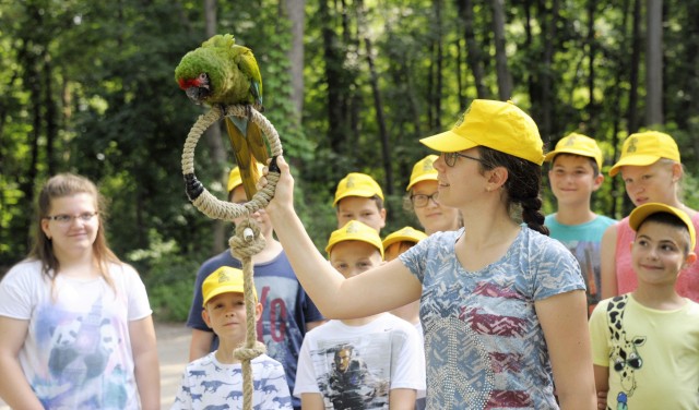 Idén is lesz Zoosuli! cikk kiemelő képe
