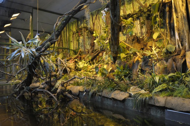 Amazonas- Nyíregyházán  Elkészült Állatparkunk újabb szenzációja, a Viktória Ház!  cikk kiemelő képe