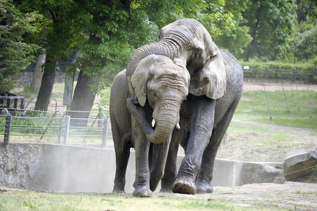 Viszlát Jack! cikk kiemelő képe