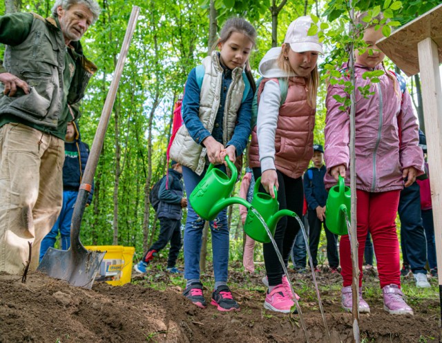 Madarak és fák napja volt Állatparkunkban cikk kiemelő képe