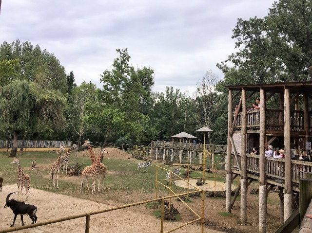 A Nyíregyházi Állatpark lett az Év Turisztikai Attrakciója 2021-ben! cikk kiemelő képe