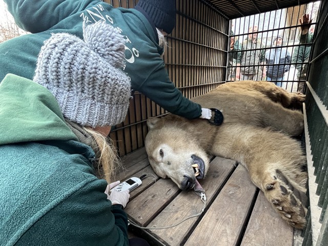 Viszlát Fiete! cikk kiemelő képe