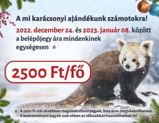 Van egy karácsonyi ajándékunk a számotokra! cikk kiemelő képe