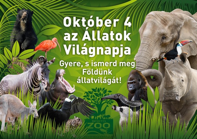 Október 4-én az Állatok Világnapján különleges programokkal várjuk vendégeinket cikk kiemelő képe