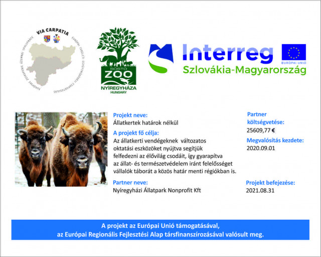 Interreg Projekt kezdődött Állatparkunkban cikk kiemelő képe