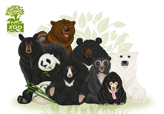 Nagy sikerrel zajlott a Nemzetközi Medve Nap a Happy Bears' Day cikk kiemelő képe