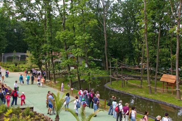 Húsvétkor is minden nap nyitva a Nyíregyházi Állatpark cikk kiemelő képe