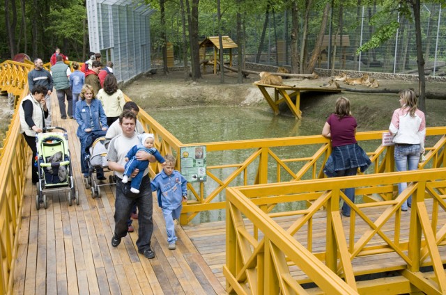 Okos telefonnal is felfedezhető az Állatpark! cikk kiemelő képe