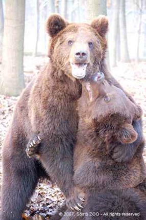 Jön a tavasz? cikk kiemelő képe