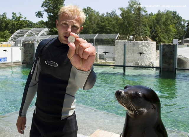 Az aprópénz nem ehető !!! cikk kiemelő képe