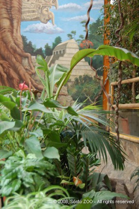 Átadtuk a Dél-Amerika házat! cikk kiemelő képe