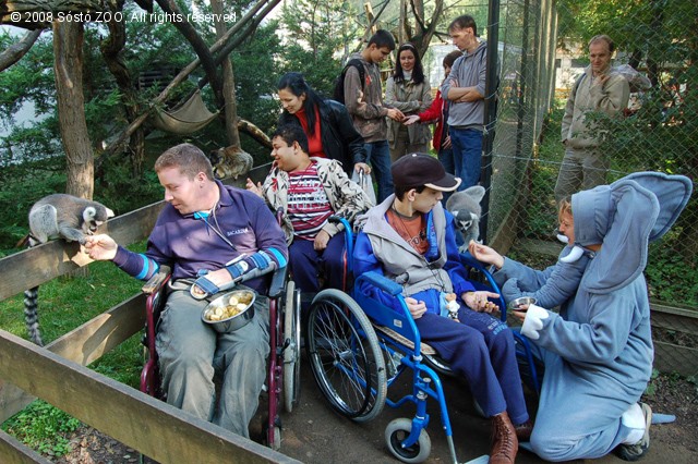 EZ A TE NAPOD! cikk kiemelő képe