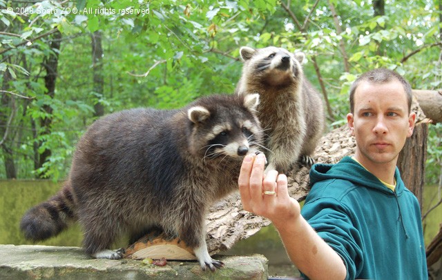 Október 4. - Az állatok világnapja cikk kiemelő képe