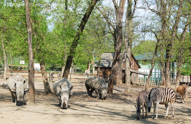 80 perc alatt a Föld körül! cikk kiemelő képe