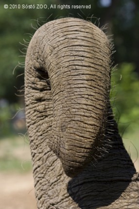 Évértékelés cikk kiemelő képe