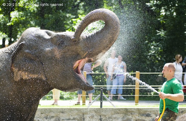 Nyári hőség cikk kiemelő képe