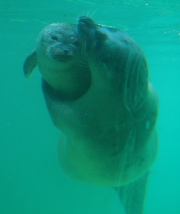 Ma vagyok 1 hónapos! cikk kiemelő képe
