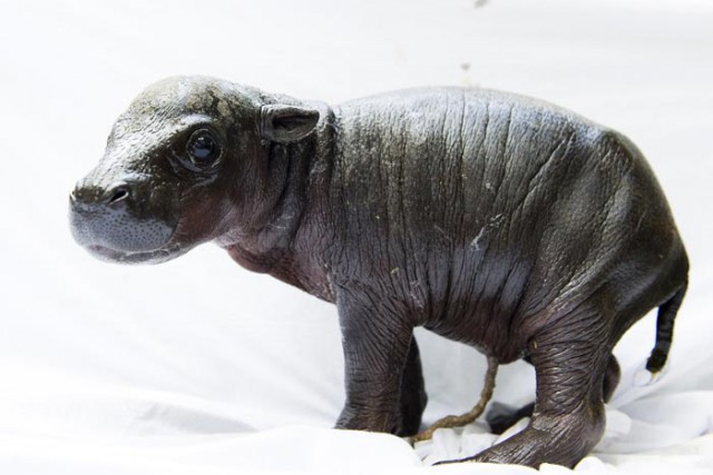 Játék! cikk kiemelő képe