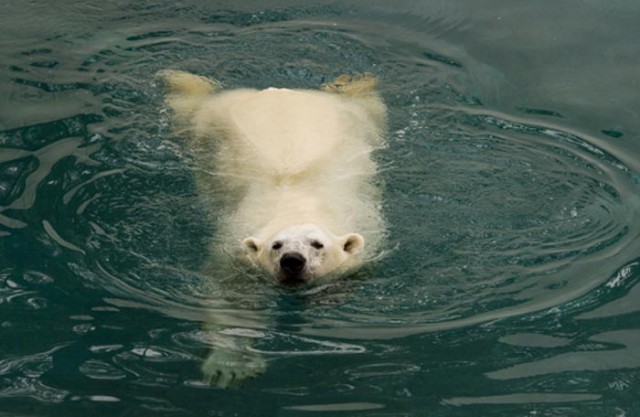 Augusztusi hőség cikk kiemelő képe