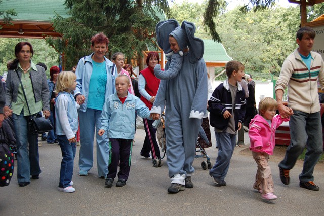 Állatparkos nap a fogyatékkal élőkért! cikk kiemelő képe