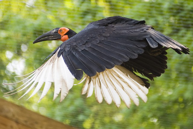 Nemzetközi fotós sikerek! cikk kiemelő képe